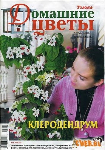 Домашние цветы №8 (11) 2008