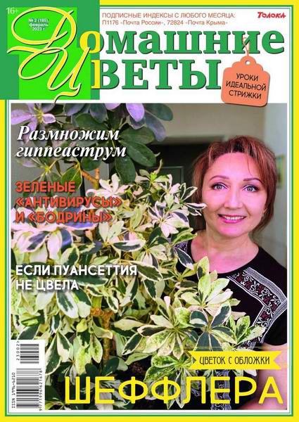 журнал Домашние цветы №2 февраль 2023