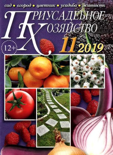 Приусадебное хозяйство №11 ноябрь 2019 + приложения Цветы в саду и дома Дачная кухня