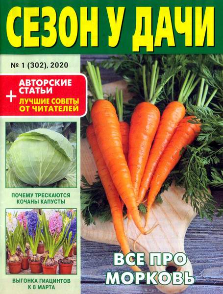 журнал газета Сезон у дачи №1 январь 2020