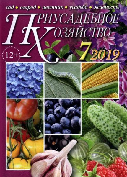 Приусадебное хозяйство №7 июль 2019 + приложения Цветы в саду и дома Дачная кухня