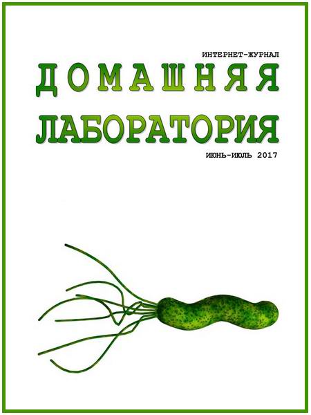 Домашняя лаборатория №6-7 июнь-июль 2017