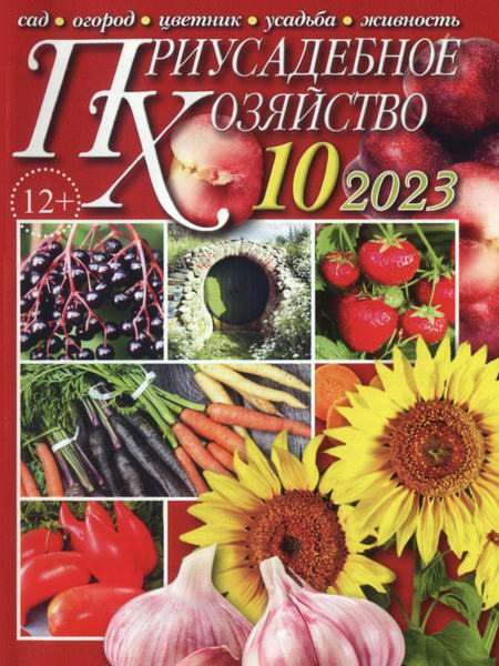 Приусадебное хозяйство №10 октябрь 2023 + приложения Цветы в саду и дома Дачная кухня