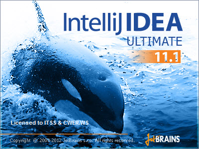 IntelliJ IDEA 11.1.4 Ultimate Edition