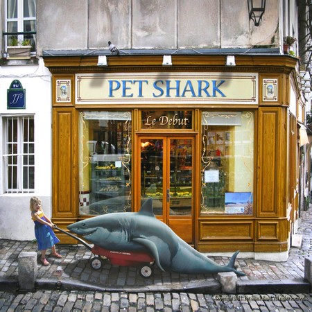 Pet Shark. Le Debut (2011)