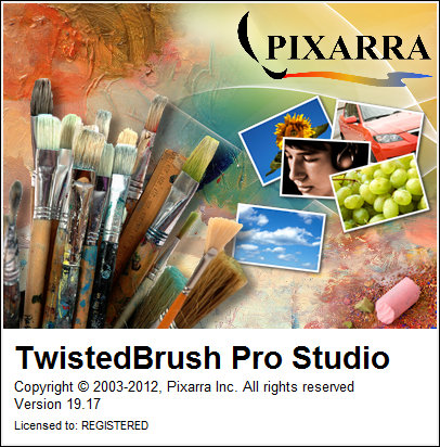 TwistedBrush Pro Studio