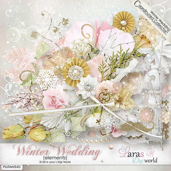 Winter Wedding (Cwer.ws)
