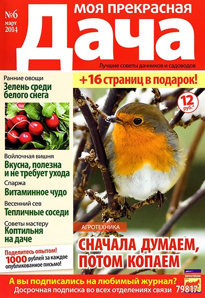 Моя прекрасная дача №6  2014