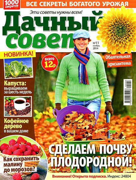 Дачный совет №11 2014