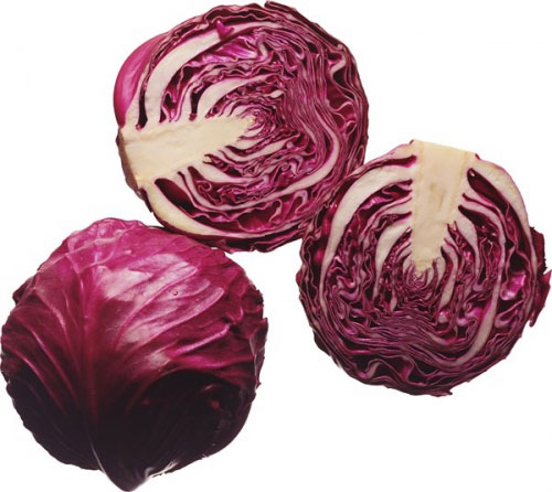 Stock Photo. Cabbage