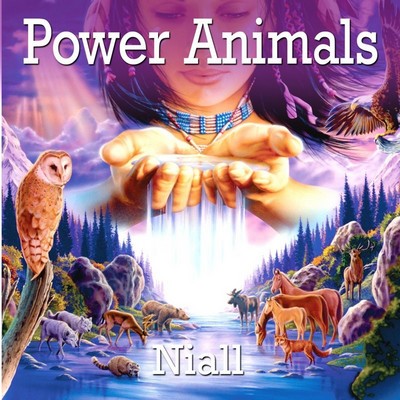 Niall - Power Animals