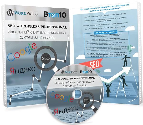 SEO wordpress professional