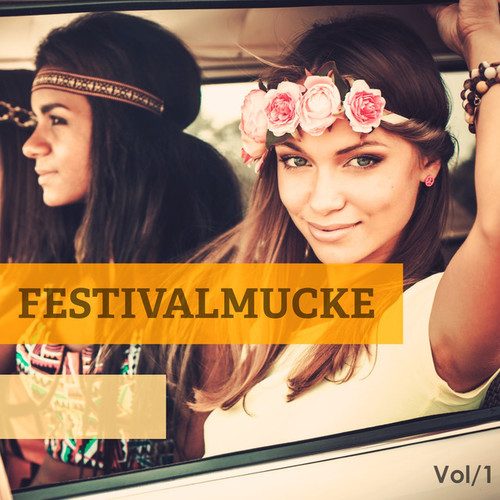 Festivalmucke Vol.1: Get Ready For The Next Event