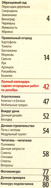 Моя прекрасная дача №11 (ноябрь 2012)