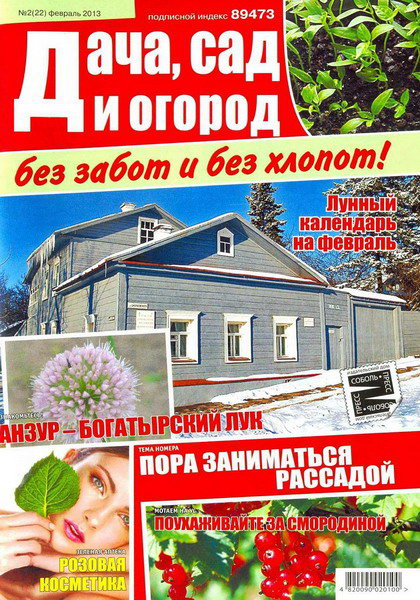 Дача, сад и огород без забот и без хлопот №2 (февраль 2013)
