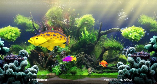 Exotic Aquarium LWP Ultimate