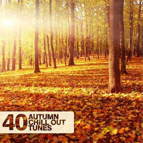 скачать 40 Autumn Chill Out Tunes (2012)