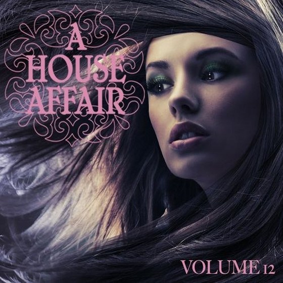 скачать A House Affair Vol.12 (2012)
