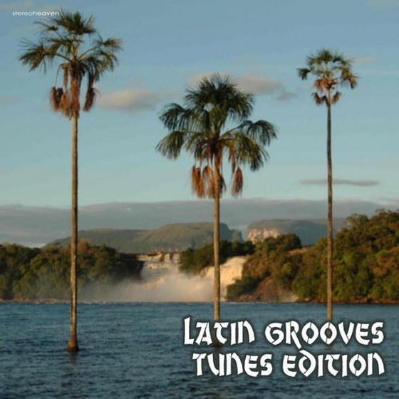 скачать Latin Grooves Tunes Edition (2012)