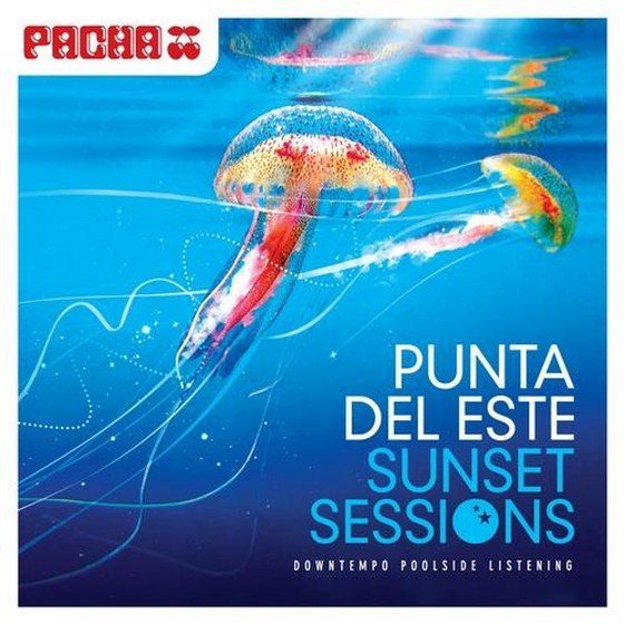 скачать Pacha. Punta Del Este: Sunset Sessions (2012)