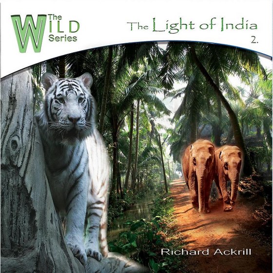 Richard Ackrill. The Light of India (2013)