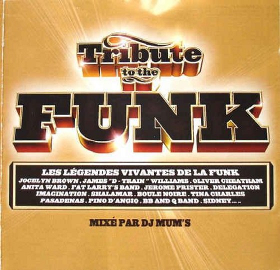 скачать Tribute to the Funk (2003)