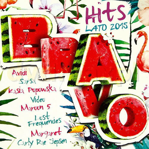 Bravo Hits Lato 2015 