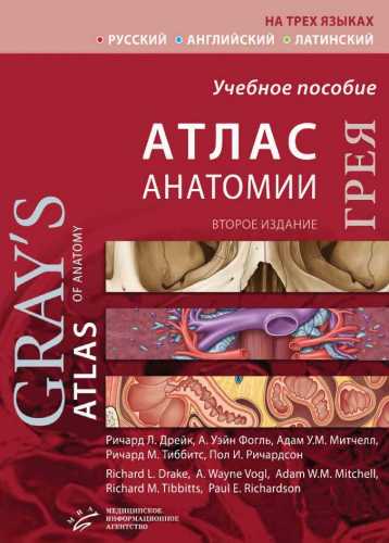 Атлас анатомии Грея