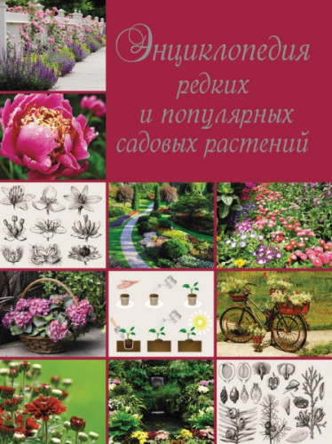 О.В. Яковлева. Энциклопедия редких и популярных садовых растений