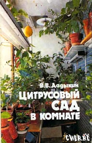 В.В. Дадыкин. Цитрусовый сад в комнате
