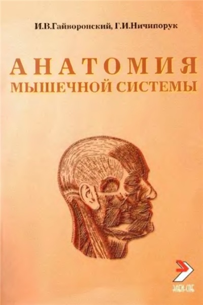 И.В. Гайворонский. Анатомия мышечной системы