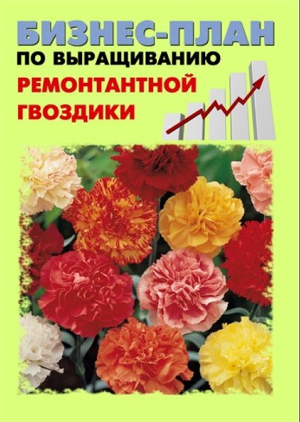 Павел Шешко. Бизнес-план по выращиванию ремонтантной гвоздики