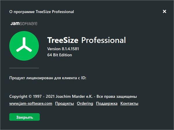Portable TreeSize Professional 8.1.4.1581