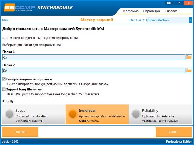 Synchredible Professional Edition 5.300