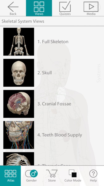Human Anatomy2