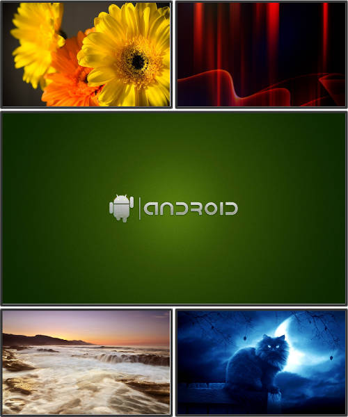 Mixed Wallpapers Collections