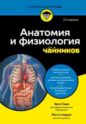 anatomiya-i-fiziologiya-dlya-chaynikov