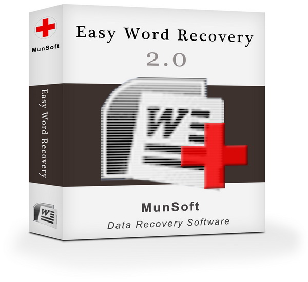 Munsoft Easy Word Recovery