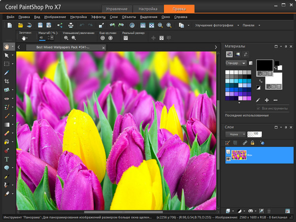 Corel PaintShop Pro X7