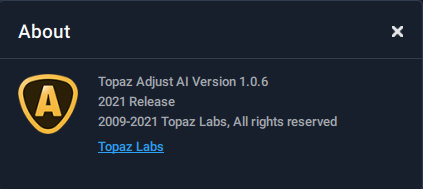 Topaz Adjust AI