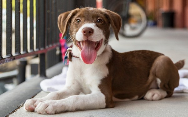 New Mixed HD Wallpapers Pack 380