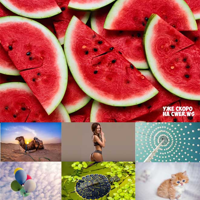 New Mixed HD Wallpapers Pack 390