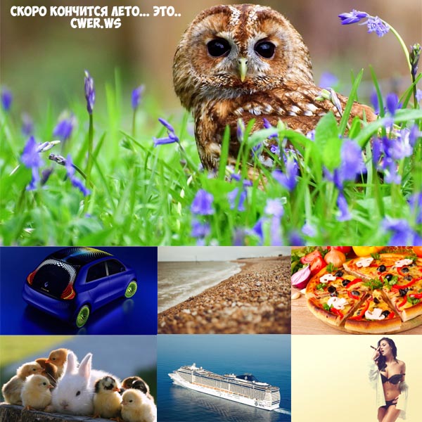 New Mixed HD Wallpapers Pack 393