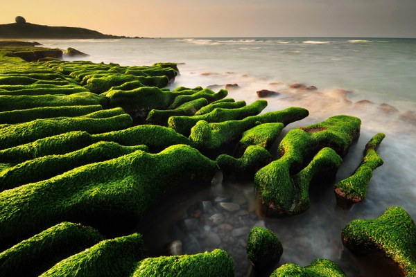 Best Mixed Wallpapers Pack #409-410