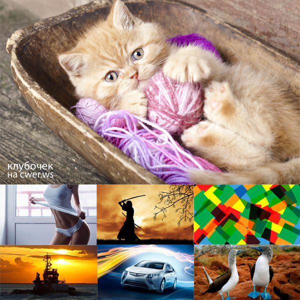 New Mixed HD Wallpapers Pack 259