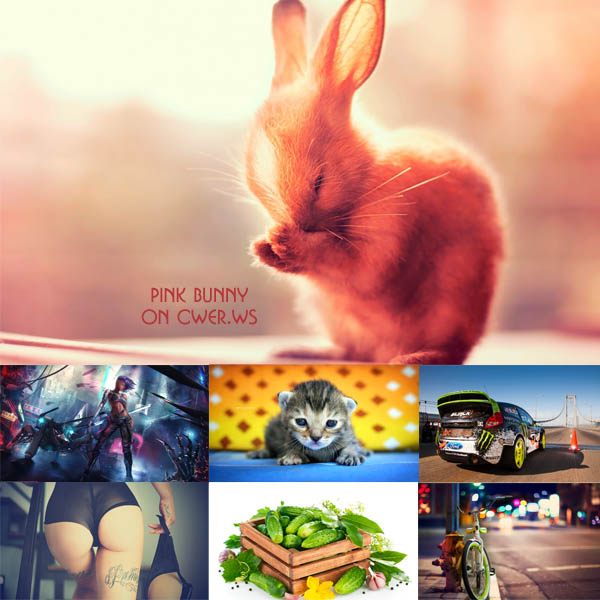 New Mixed HD Wallpapers Pack 260