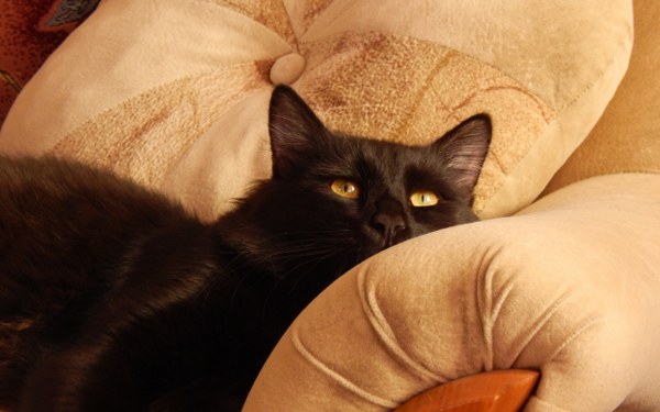 Best Mixed Wallpapers Pack #337-338