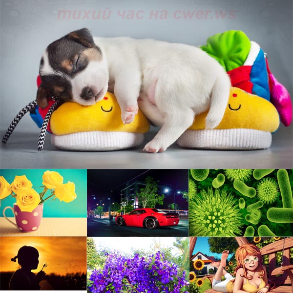 New Mixed HD Wallpapers Pack 273