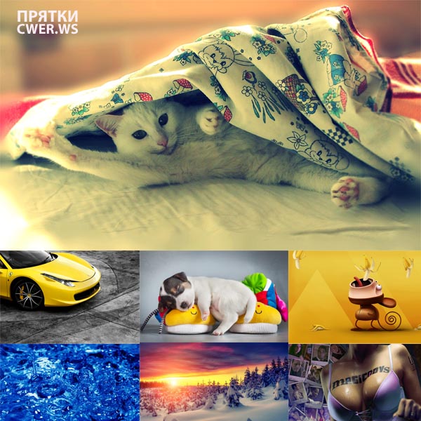 New Mixed HD Wallpapers Pack 288