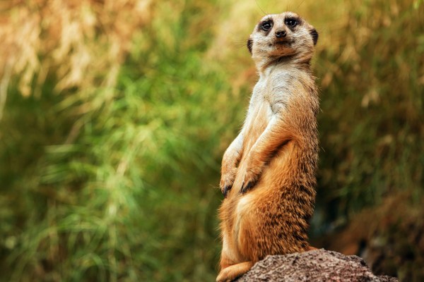 New Mixed HD Wallpapers Pack 218